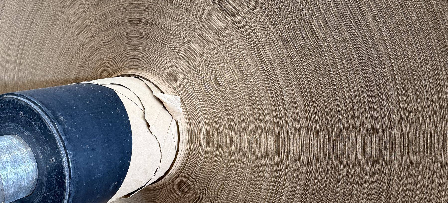 End of a finished paper roll showing the wound edge profile