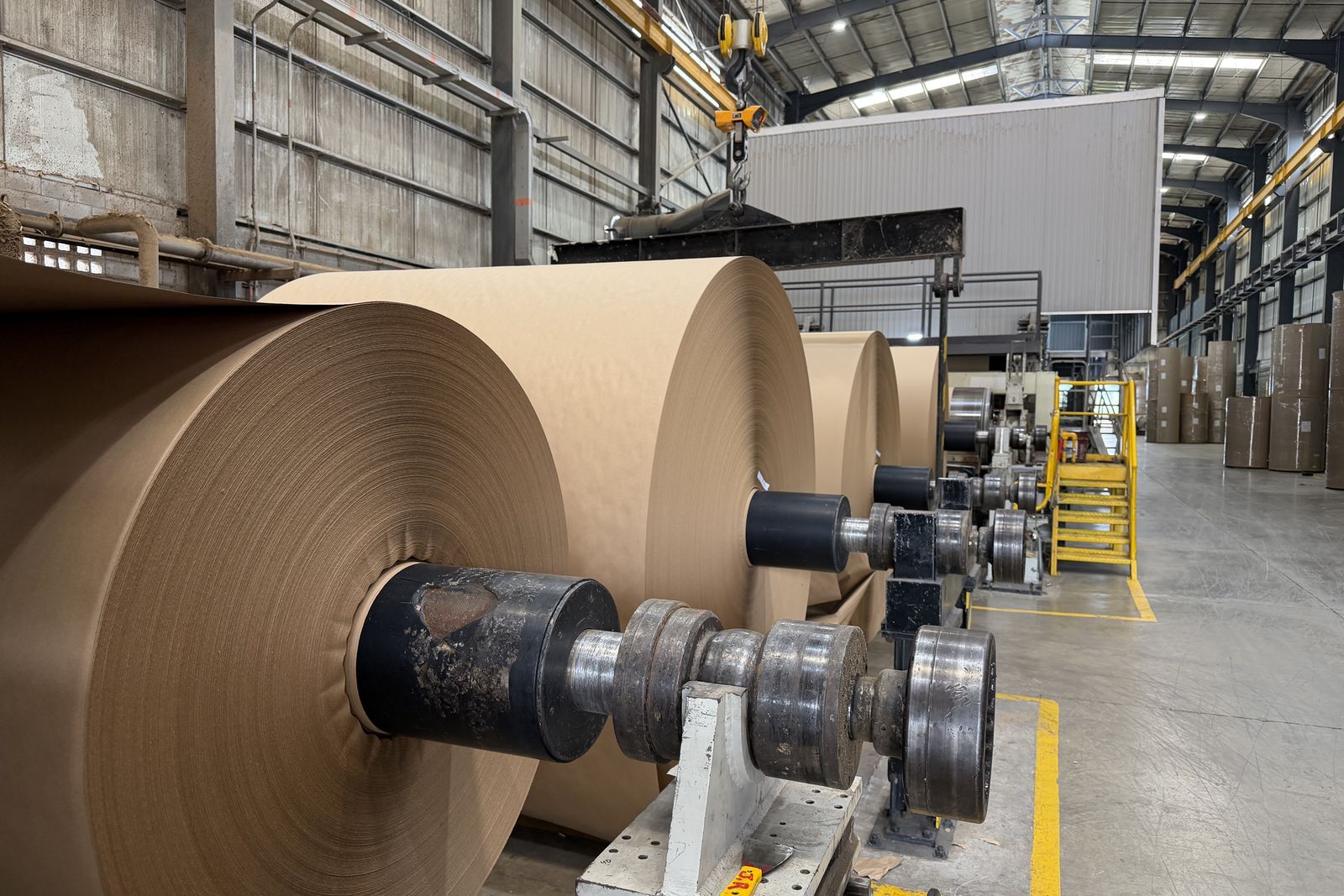Freshly wound paper reels on the winder at the Valle Kraft mill near Cali